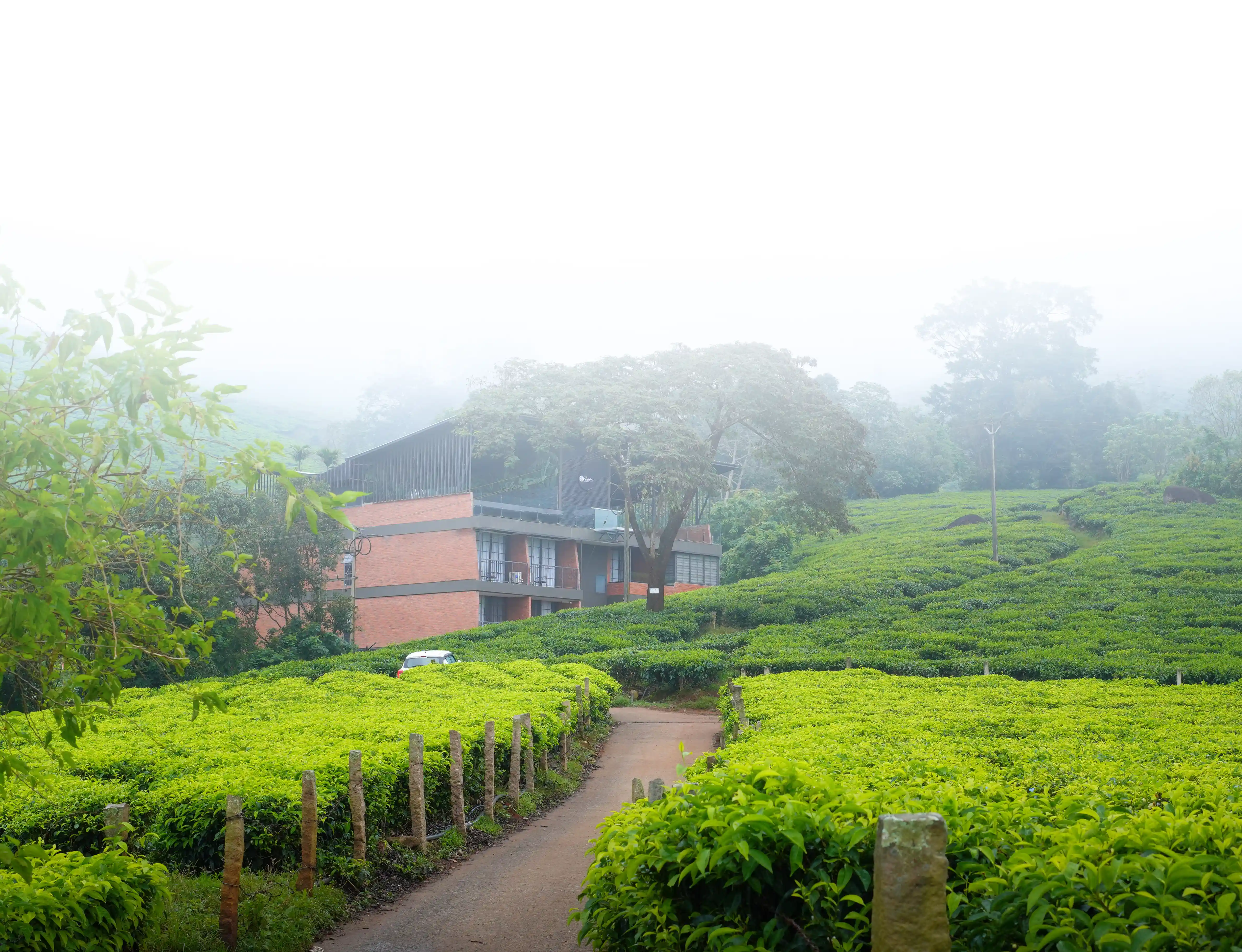 Munnar Resort